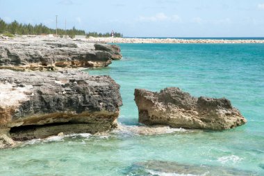 Yıpranmış Grand Bahama adasının manzarası ve yeşil renkli sular..