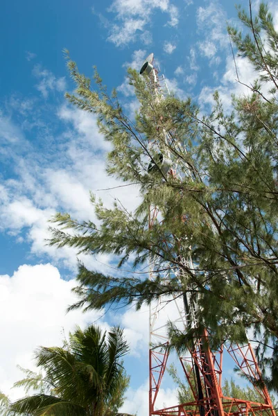 グランドターク島のコックバーン町の木々の間の通信塔の眺め トルコとカイコス諸島 — ストック写真