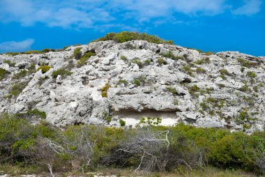 Büyük Türk adası kıyısında aşınmış bir uçurum manzarası (Türkler ve Caicos adaları).