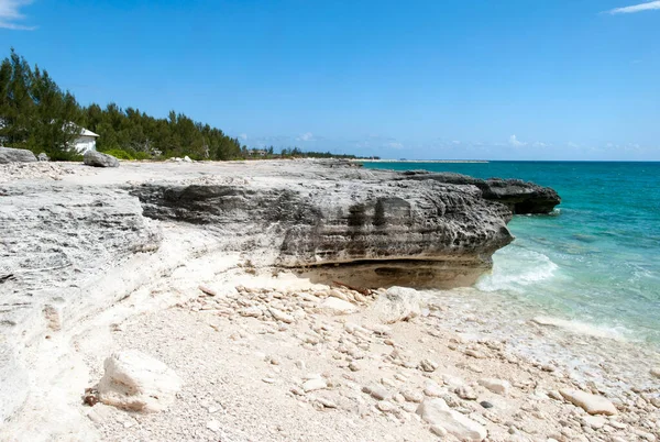Büyük Bahama Adası Ndaki Kayalık Sahil Manzarası Aşınmış Kıyı Şeridi — Stok fotoğraf