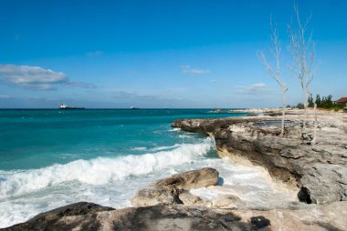 Dalgalı Karayip Denizi ve Grand Bahama adasındaki kayalık kıyı şeridi aşındı..