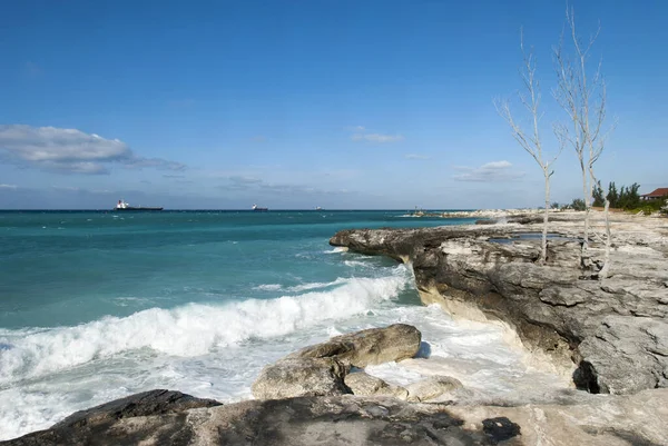Golvende Caribische Zee Geërodeerde Rotskust Grand Bahama Eiland — Stockfoto