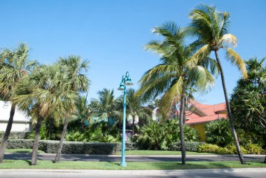 Paradise Island Caddesi, Cennet Adası, Bahamalar 'ın popüler tatil yeri..