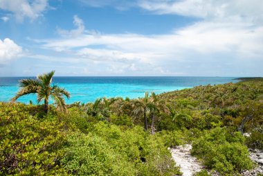 Issız bir ada olan Half Moon Cay 'deki (Bahamalar) bereketli bir manzaranın en yüksek noktasından manzara).