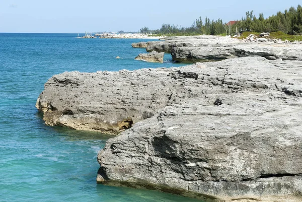 Litoral Rochoso Erodido Freeport Ilha Grand Bahama — Fotografia de Stock