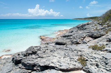 Half Moon Cay 'deki renkli suların ve kayalık kıyı şeridinin manzarası (Bahamalar)).