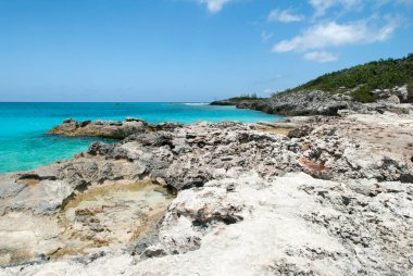 Issız ada Half Moon Cay 'de (Bahamalar) kayalık kıyı şeridi ve turkuaz renkli su).