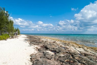Grand Bahama Adası 'ndaki kumlu ve kayalık Taino Sahili manzarası.
