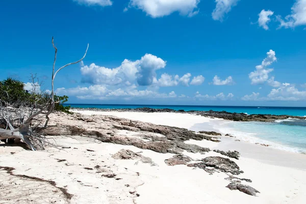 Αμμώδες Και Βραχώδες Τοπίο Στην Παραλία Half Moon Cay Ακατοίκητο — Φωτογραφία Αρχείου