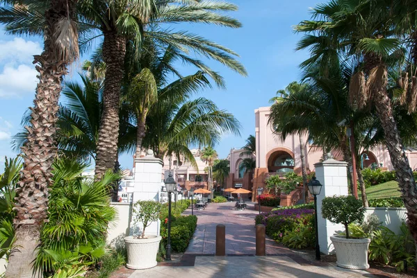 Sunny Morning View Palm Alley Paradise Island Popular Vacation Destination — Stock Photo, Image