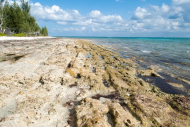 Grand Bahama Adası 'ndaki Taino Sahili' nde kum fırtınası tarafından yıkanan çıplak arazi..