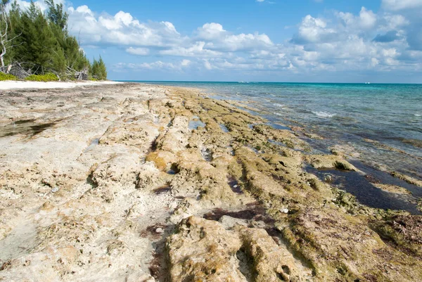 Grand Bahama Adası 'ndaki Taino Sahili' nde kum fırtınası tarafından yıkanan çıplak arazi..