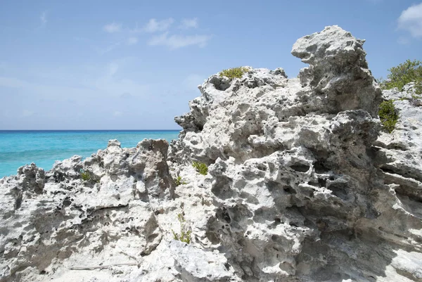 Roca Erosionada Half Moon Cay Deshabitada Costa Isla Bahamas — Foto de Stock