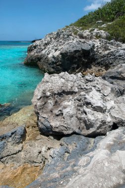 Half Moon Cay 'deki aşınmış kayalık kıyı şeridi ıssız bir ada (Bahamalar)).