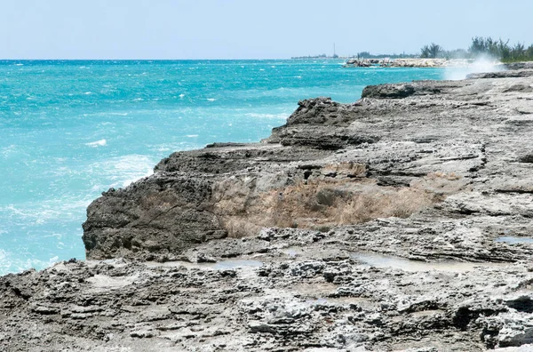 Turkuaz Renkli Deniz Manzarası Grand Bahama Adasındaki Kayalık Kıyı Şeridi — Stok fotoğraf