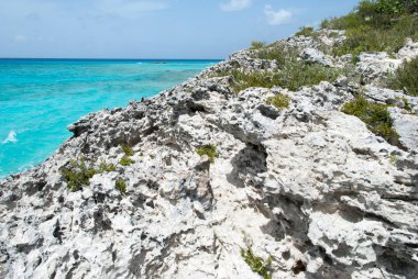 Yarım Ay Koyu 'ndaki aşınmış kayalık kıyı manzarası ve turkuaz renkli sular (Bahamalar)).