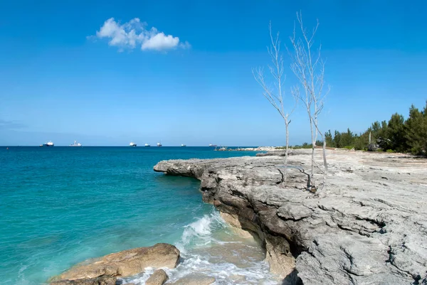 Vista Árvores Secas Grand Bahama Ilha Costa Rochosa Navios Carga — Fotografia de Stock