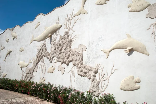 Muro Murale Con Delfini Circondato Delfinario Sull Isola Cozumel Messico — Foto Stock