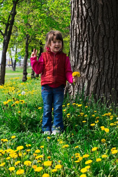 Kid met paardebloemen — Stockfoto