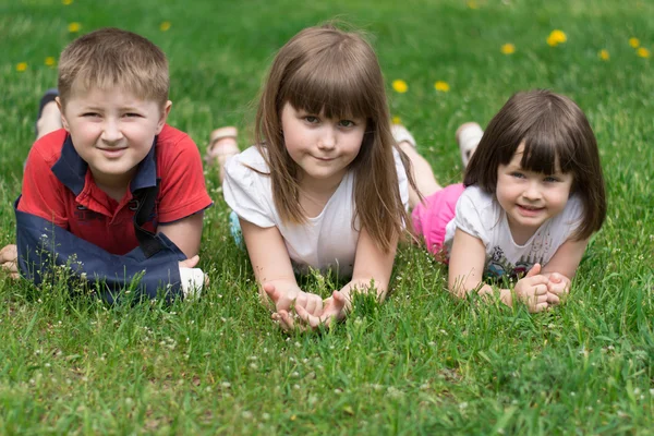 Tres niños en la hierba — Foto de Stock