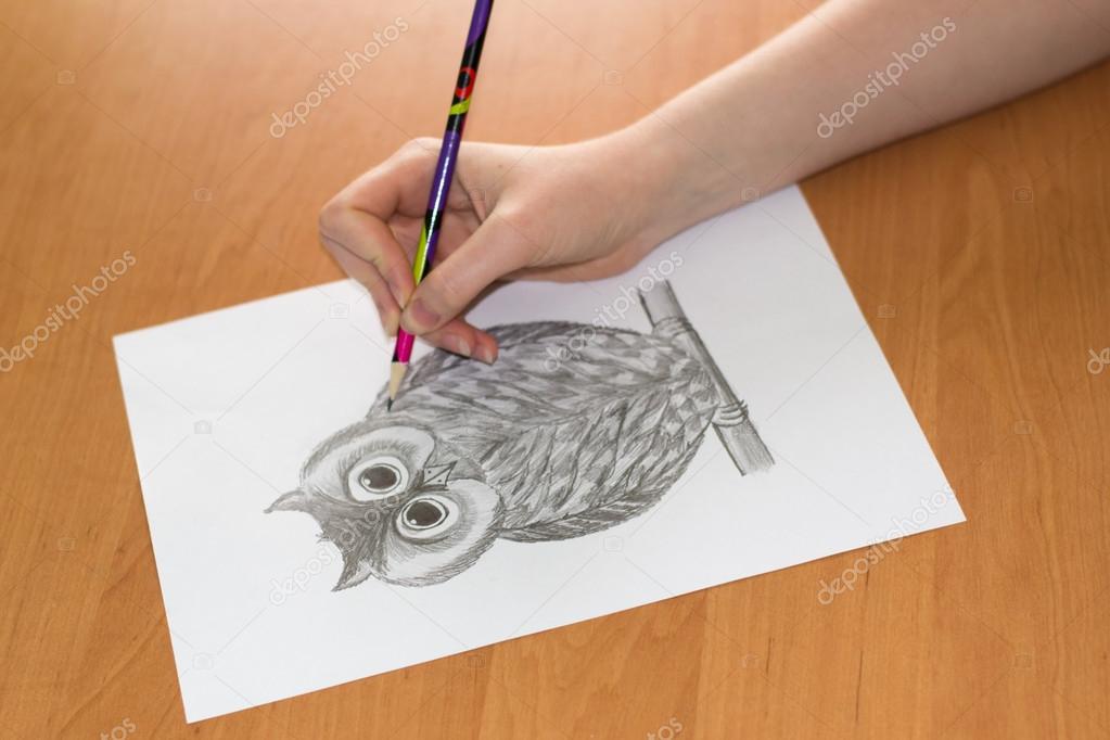 Rysunek Sowa Na Kartce Papieru Zdjęcie Stockowe Rm211171