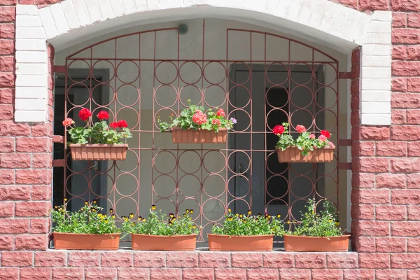 Duvardaki çiçekler