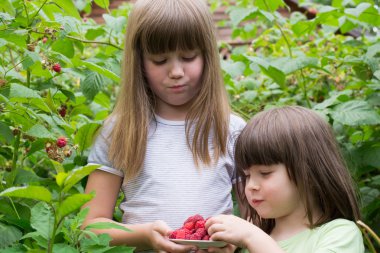 Ahududu çalılarda iki küçük kız