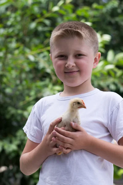 Menino com uma pequena galinha — Fotografia de Stock