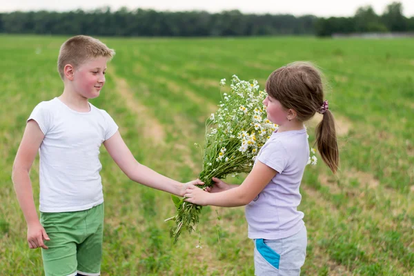 Girl with daisies — Stock Photo, Image