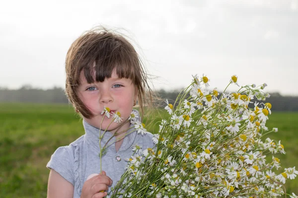 Girl with daisies — Stock Photo, Image