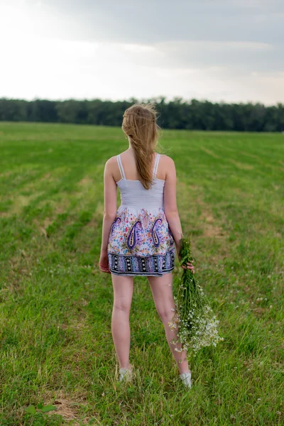 Dívka s sedmikrásky — Stock fotografie