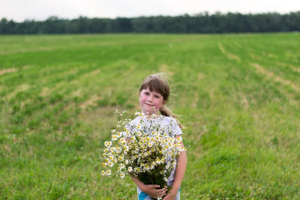 Girl with daisies — Stock Photo, Image