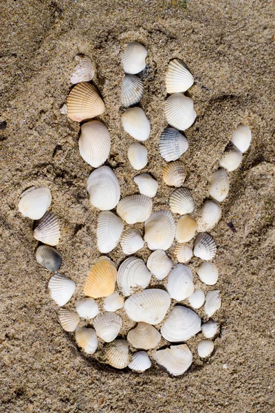 Vrouwelijke hand op aan de kust — Stockfoto