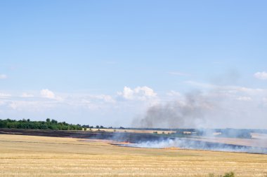 kırsal alanda yangın