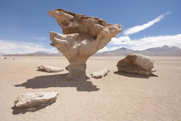 El Arbol de Piedra – stockfoto