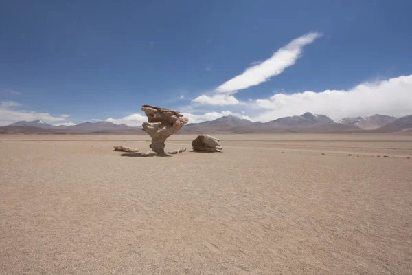 El Arbol de Piedra – stockfoto