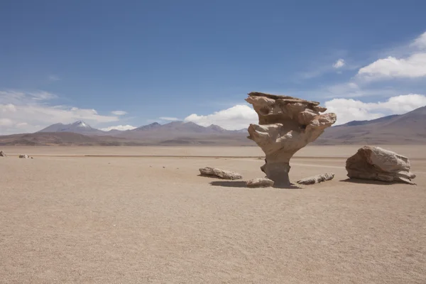 El Arbol de Piedra — Stock Photo, Image