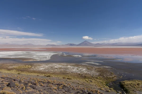 Laguna Colorada, Bolivia – stockfoto