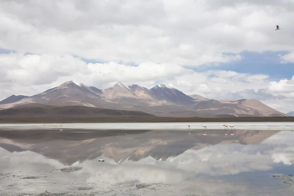 The White Lagoon — Stock Photo, Image