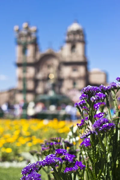 Taman bunga, Cuzco — Stok Foto