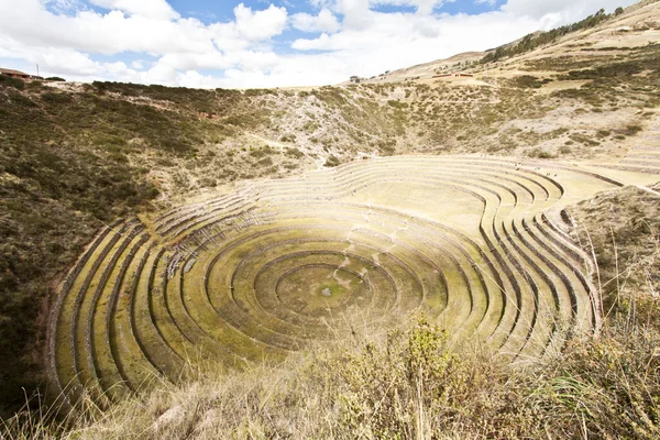 Agricultural terraces — Stock Photo, Image