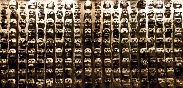 Panel kafatasları