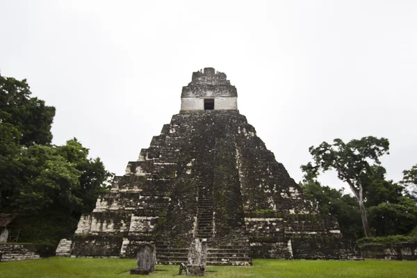 Mächtiger Tikal — Stockfoto