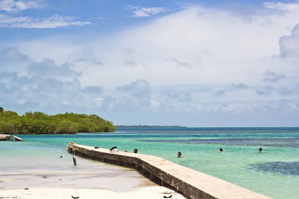 La división, Belice Imagen De Stock