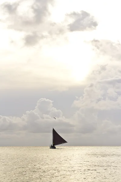 Navegando por el Caribe — Foto de Stock