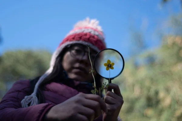 Jonge Vrouw Observeren Natuur Met Een Vergrootglas — Stockfoto