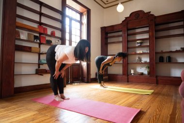 Genç kadınlar yoga seansı için ahşap stüdyo yapıyorlar.