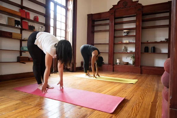 Genç kadınlar yoga seansı için ahşap stüdyo yapıyorlar.