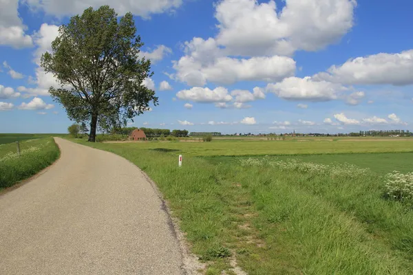 Hermoso Paisaje Pólder Holandés Con Camino Través Campos Verdes Frescos — Foto de Stock