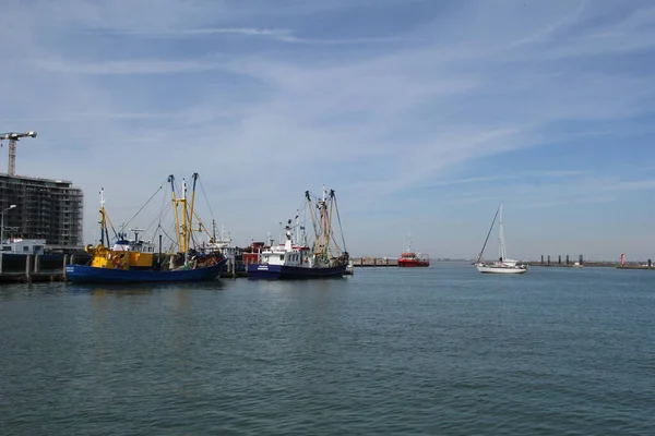 Porto Pesca Breskens Costa Holandesa Com Barcos Pesca Novos Edifícios — Fotografia de Stock